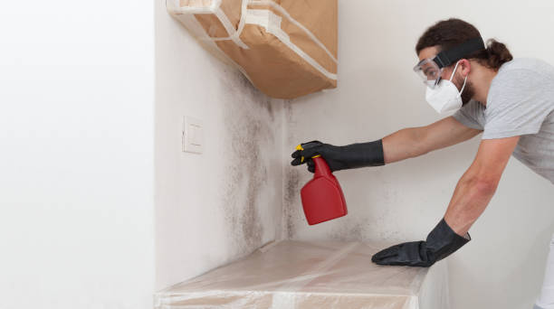 Professional Mold Cleanup technician working in Thomasville, NC